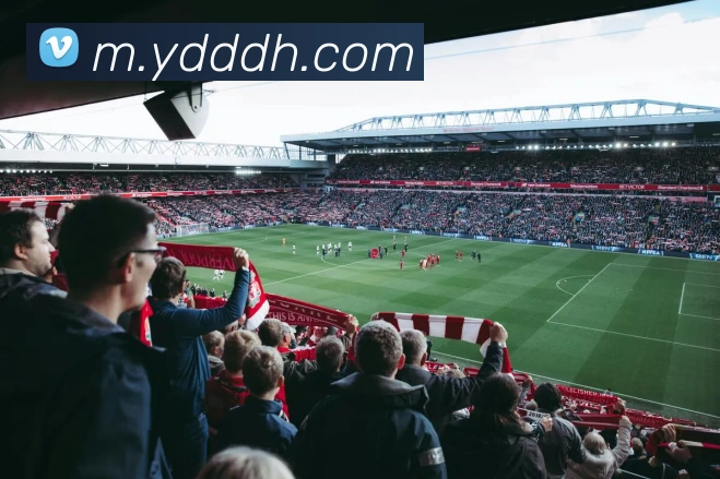 平台展示图